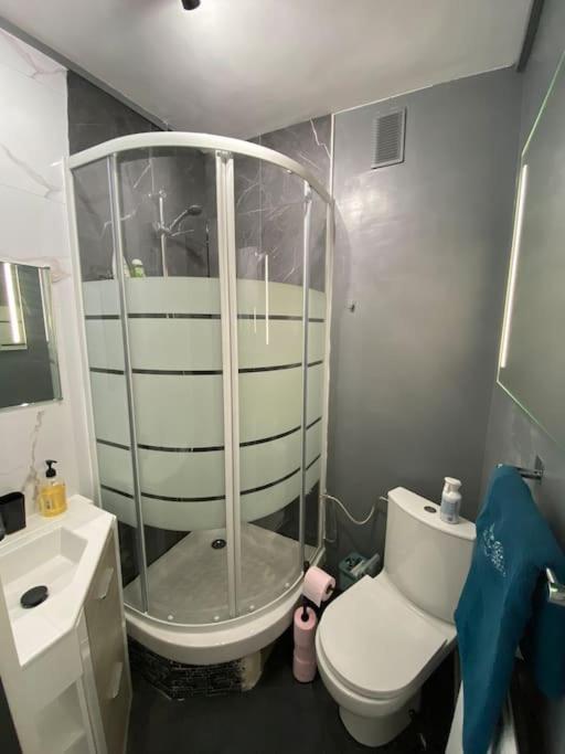 Appartement Tout Confort ليموج المظهر الخارجي الصورة